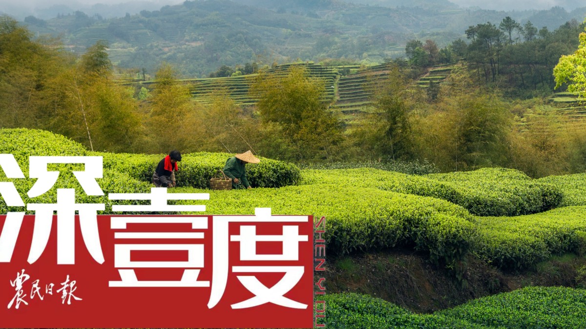 農(nóng)業(yè)品牌保護(hù)，如何有力且高效？